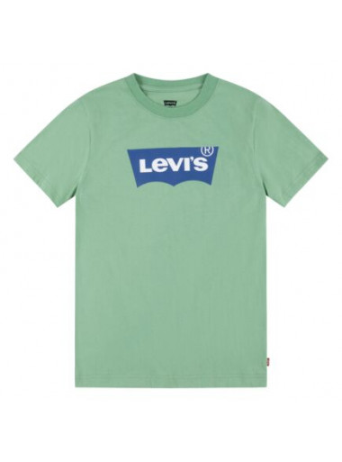 Levis Logoshirt grün